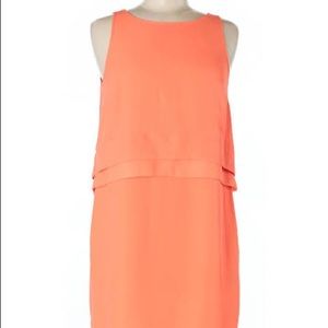 Petite Banana Republic Orange dress (OP)